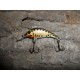 Wobler Stork 3,5 cm RC35