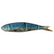 Soft 4Play 13 cm Swim & Jerk