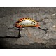 Wobler Stork 3,5 cm RB35