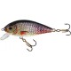 Holo Select Karaś 8 cm 13 g Pływający 