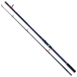 Robinson DynaCore Baltic Pilk 2,10M 100-250 g