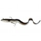 Real Eel 20cm/38g