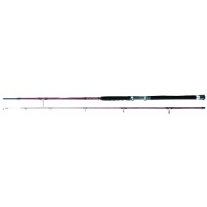 Robinson Power Stick Hi-Speed 270cm 30-80g