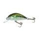 Woblery Dorado Drunk 4cm 7g Tonący