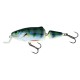 Woblery Salmo Frisky 7cm 8g Pływający Płytko Schodzący