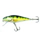 Woblery Salmo Perch 8cm 12g Pływający