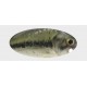 Woblery Dorado Classic 5cm 3g Pływający