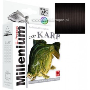 Dragon Millenium Karp